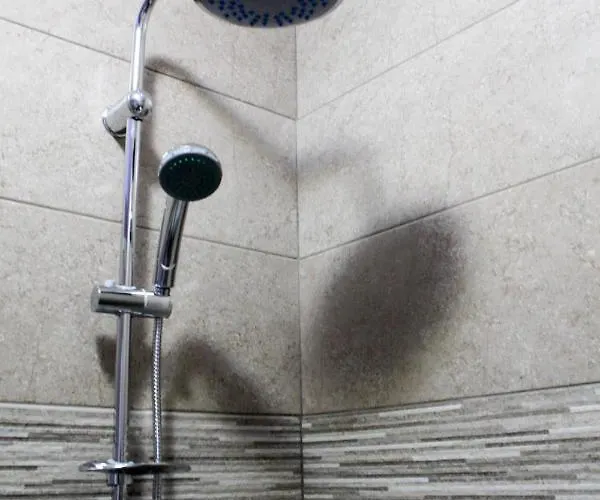 Appartamento Jeta Studio&rooms